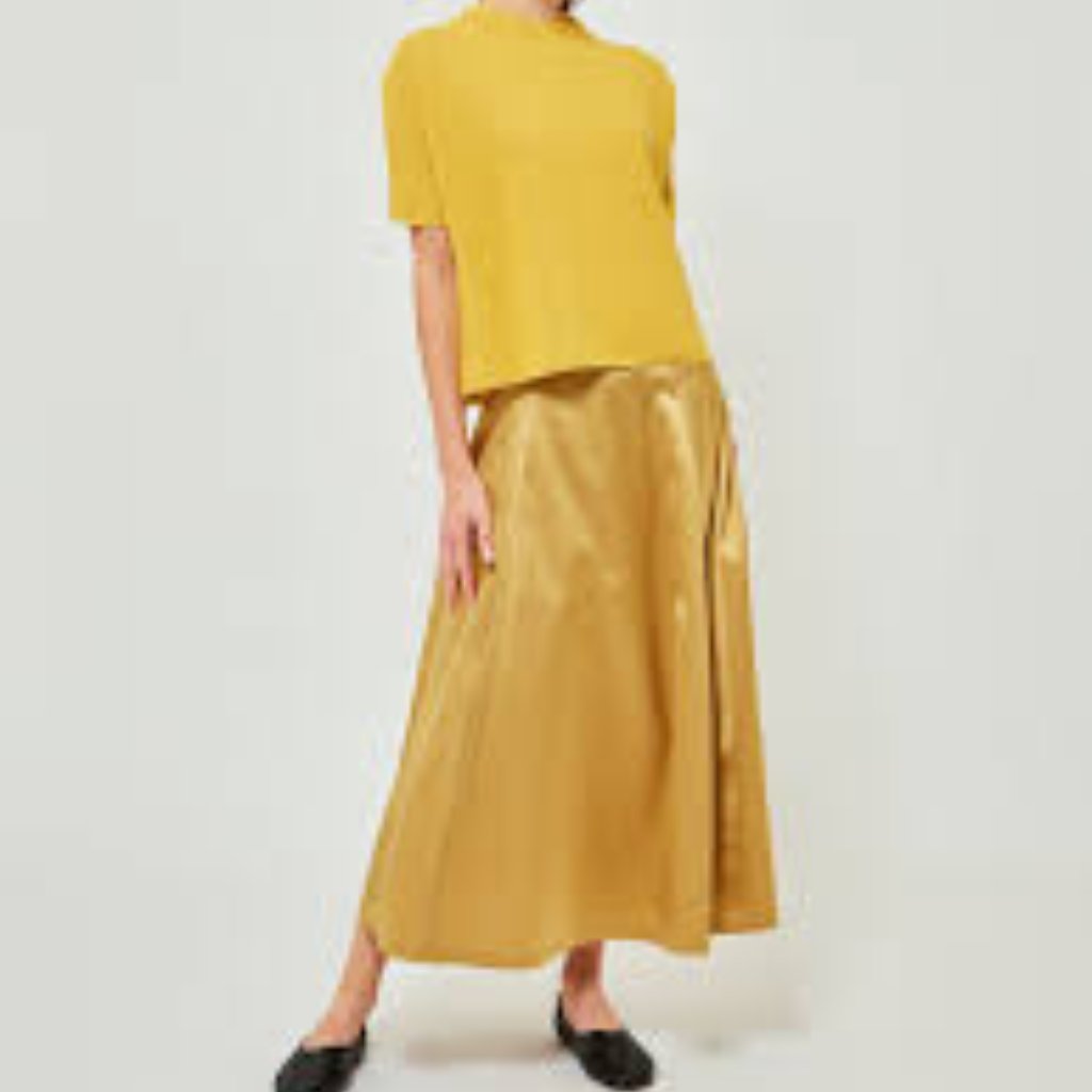 Sara Lanzi Flared Skirt In Honey